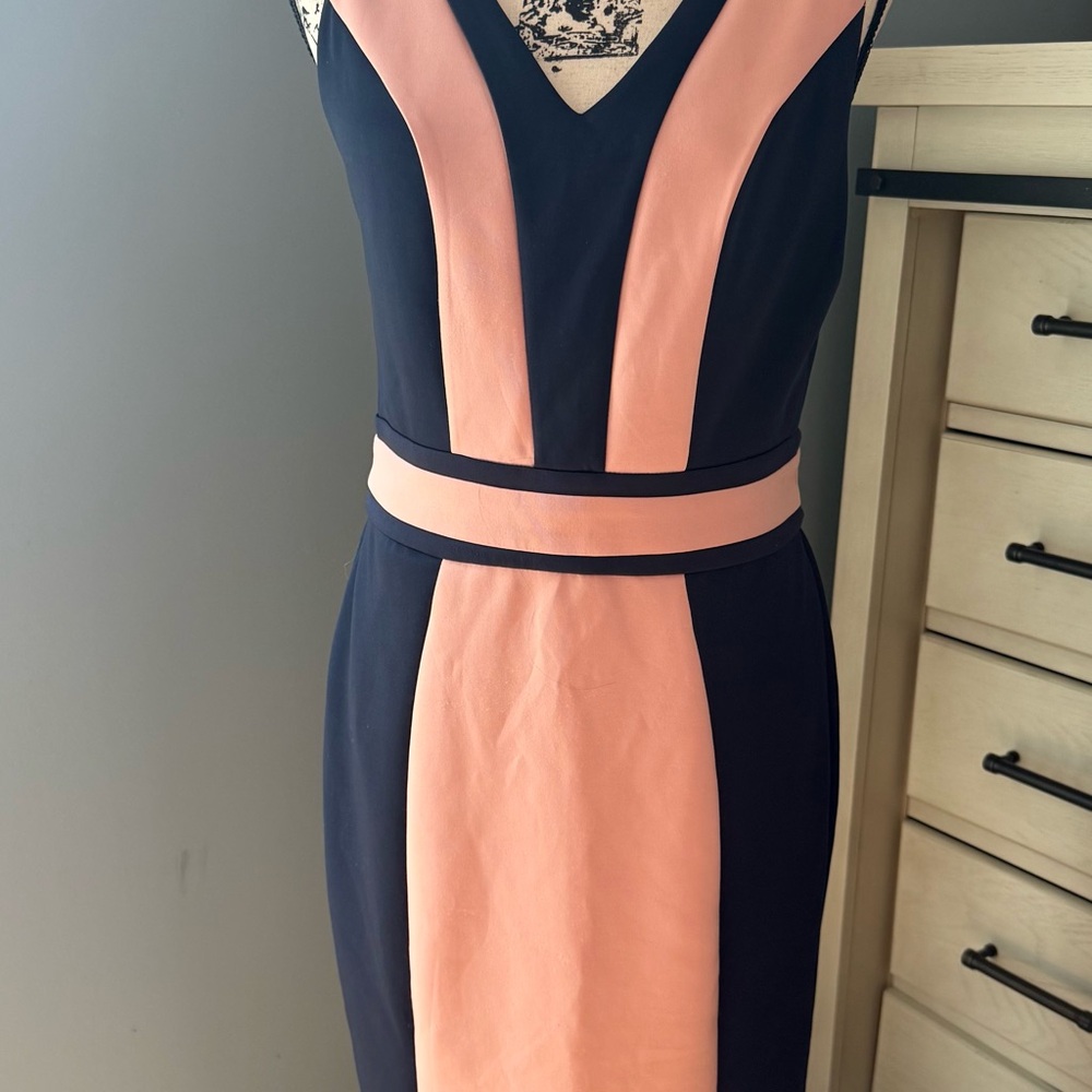 New York & Company Black and Pink Midi Dress